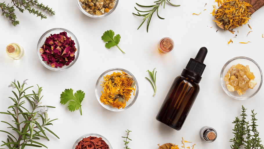 The Science Behind Essential Oils: How They Benefit Your Home and Health