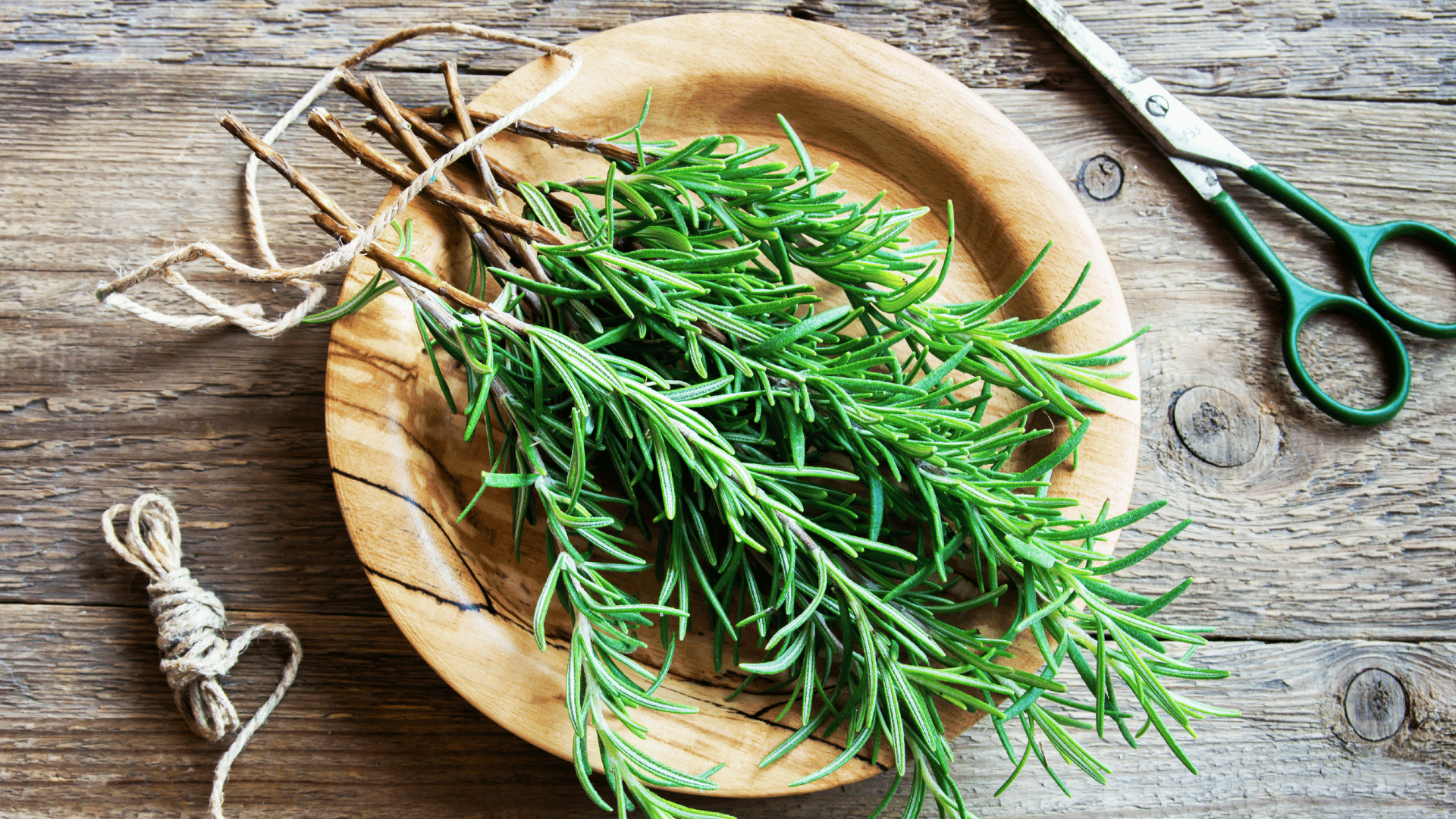 What Is Rosemary?