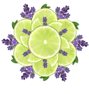 Sapadilla Sweet Lavender + Lime Collection